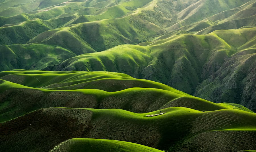 Naturaleza sostenible